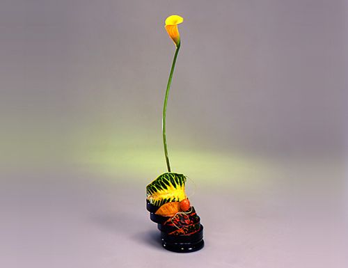 池坊花型——立花、生花、自由花| J IKEBANA