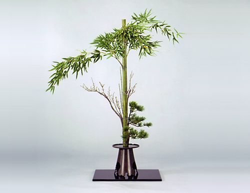 池坊花型——立花、生花、自由花| J IKEBANA